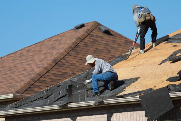 Best Metal Roofing Installation  in Schuylkill Haven, PA